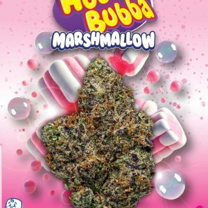 Hubba Bubba